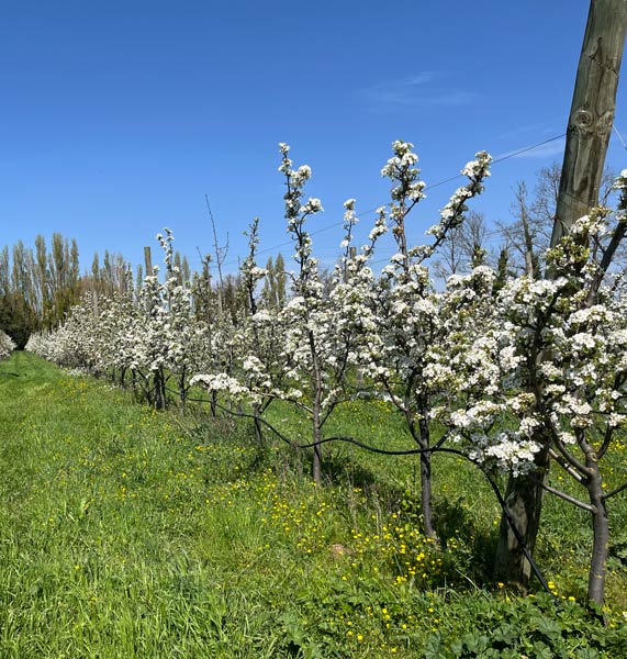 La cueillette près de Béziers | Fruits et légumes de saison