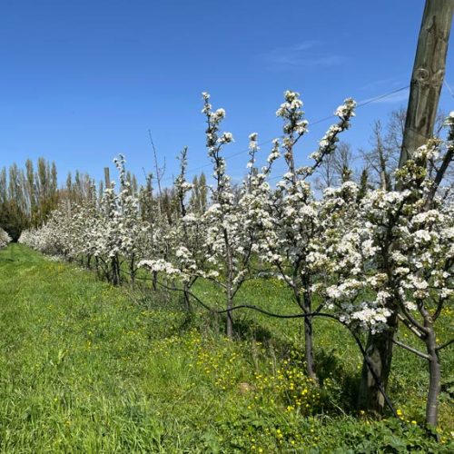 La cueillette près de Béziers | Fruits et légumes de saison