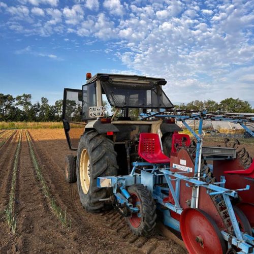 Fruits et légumes de saison près de Béziers
