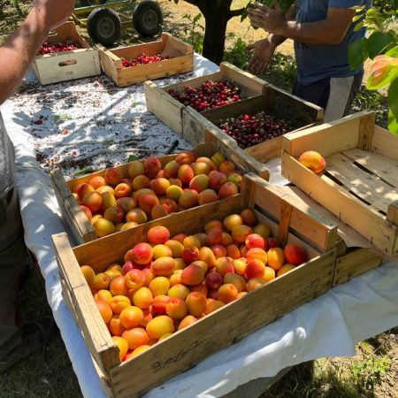 Fruits et légumes de saison près de Béziers