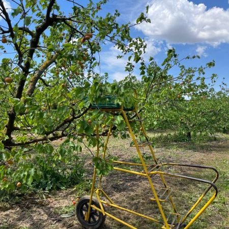 Fruits et légumes de saison près de Béziers