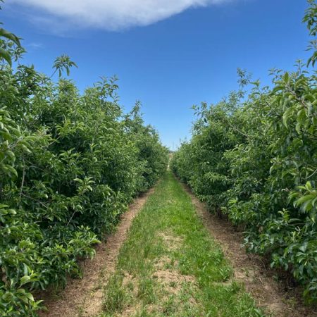 Fruits et légumes de saison près de Béziers