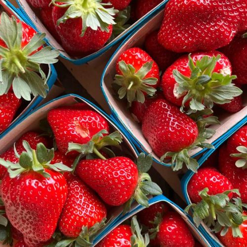 Fruits et légumes de saison près de Béziers | Vente directe