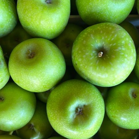 Fruits et légumes de saison près de Béziers | Vente directe