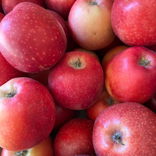 Fruits et légumes de saison près de Béziers | Vente directe