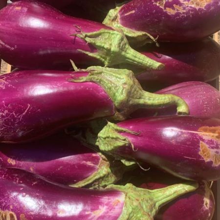 Fruits et légumes de saison près de Béziers | Vente directe