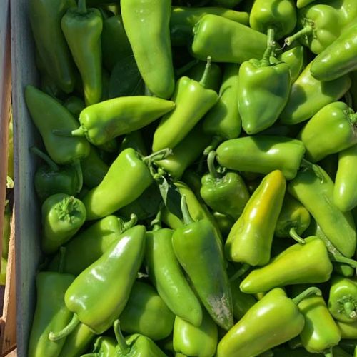 Fruits et légumes de saison près de Béziers | Vente directe