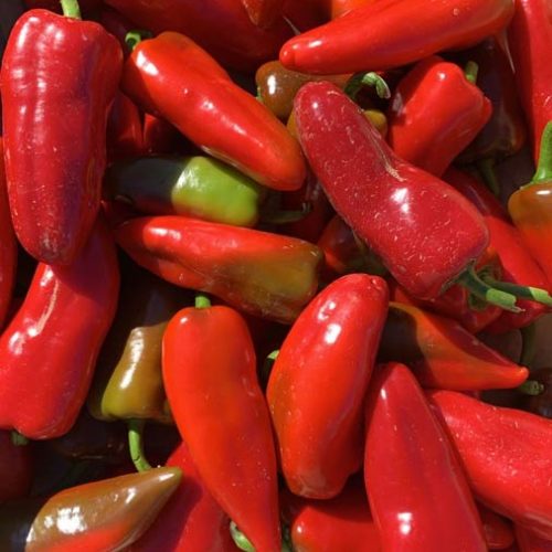 Fruits et légumes de saison près de Béziers | Vente directe