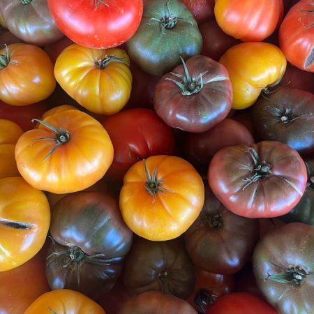 Fruits et légumes de saison près de Béziers | Vente directe