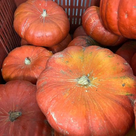 Fruits et légumes de saison près de Béziers | Vente directe