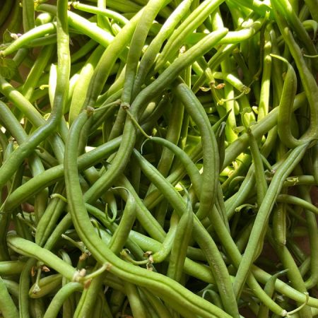 Fruits et légumes de saison près de Béziers | Vente directe