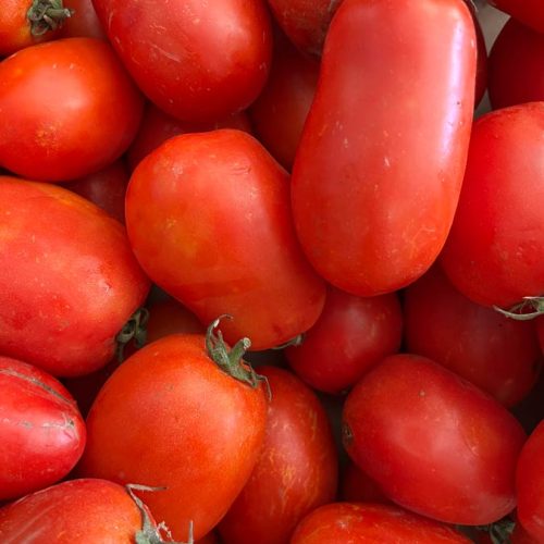 Fruits et légumes de saison près de Béziers | Vente directe