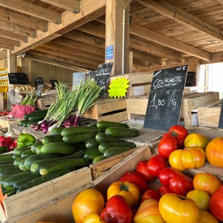 Fruits et légumes de saison près de Béziers | Vente directe
