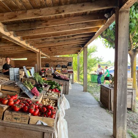 Fruits et légumes de saison près de Béziers | Vente directe