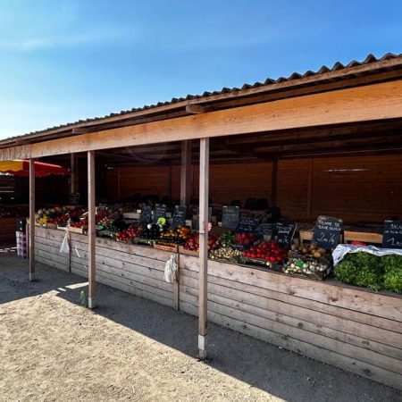 Fruits et légumes de saison près de Béziers | Vente directe
